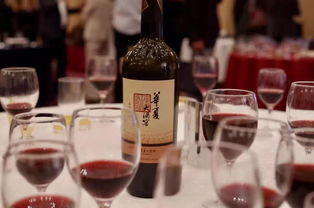 華夏新國(guó)風(fēng) 飄香東瀛 長(zhǎng)城葡萄酒亮相日本大阪